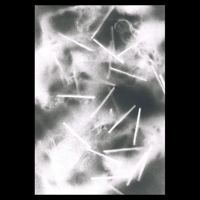 Lignes abstraites et structures de brouillard