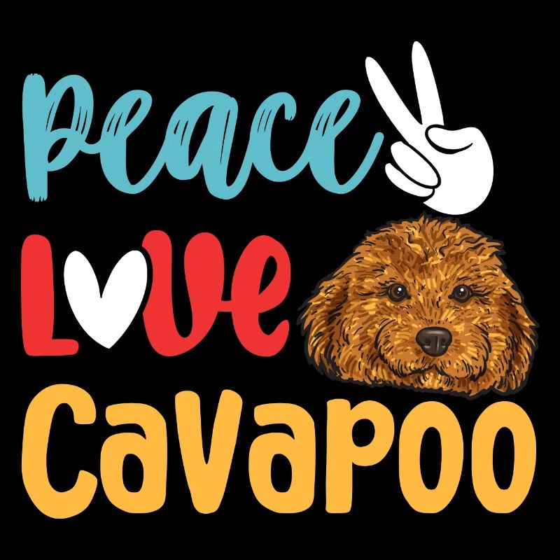 Cavapoo Cavoodle Capoodle Dog
