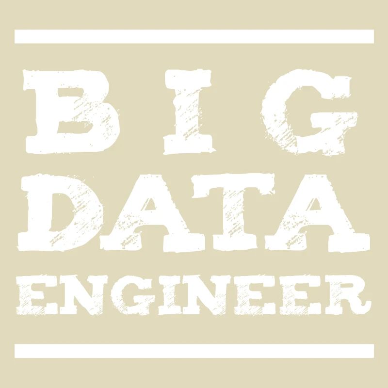 Big Data Engineer Datentechniker IT Informatik
