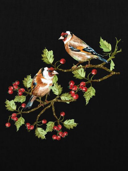 Bunte Vögel