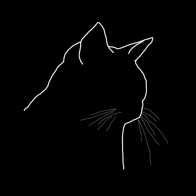 Kater