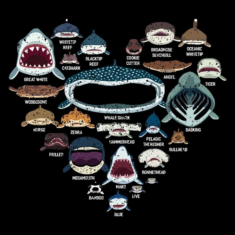 Shark