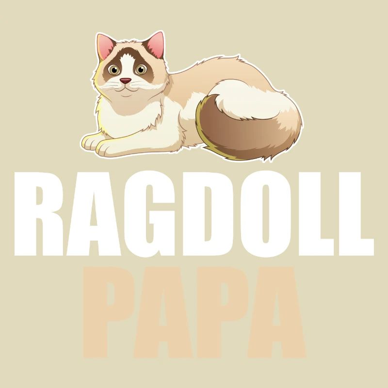 Ragdoll Cat Cat