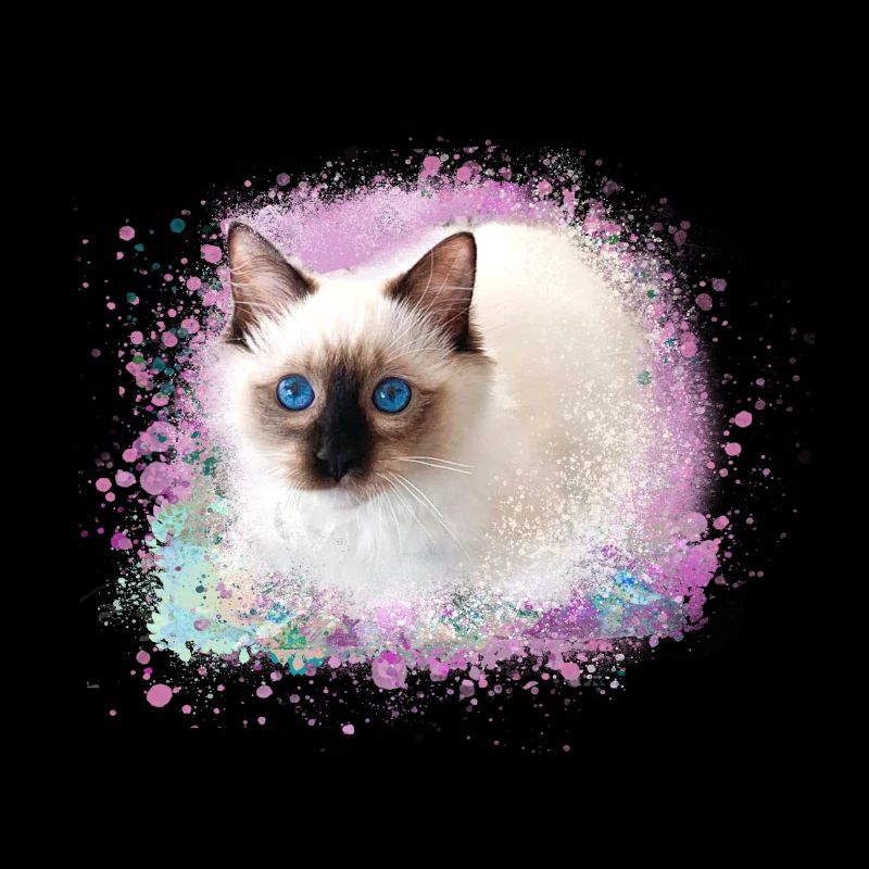 katze, rosa,aquarell ,malerei,graffiti,kätzchen
