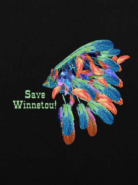 save winnetou,winnetou,indianer,Federn,Häuptling