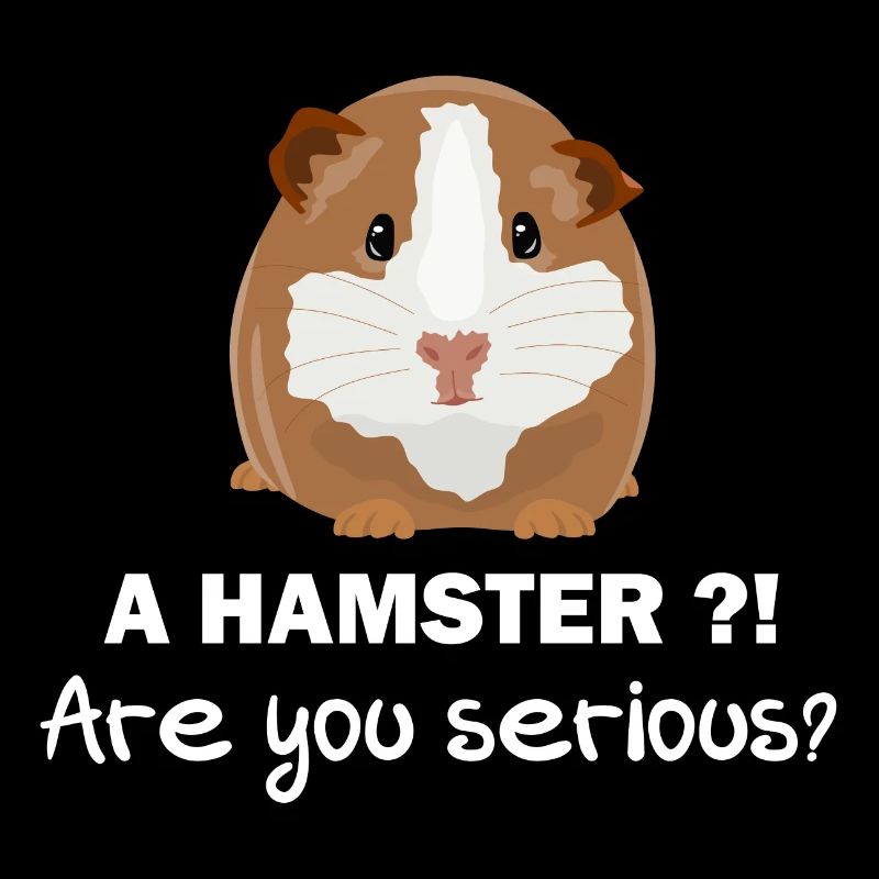 Pas de hamster - cadeau de cochon d'Inde