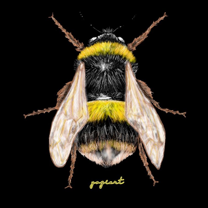 Hummel