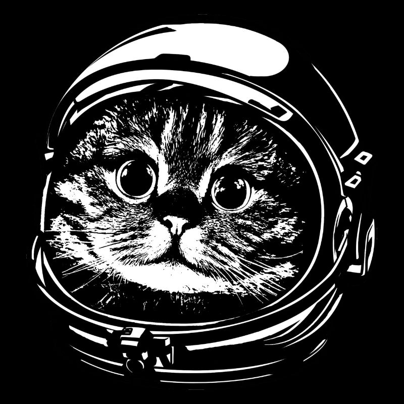 Katze Astronaut