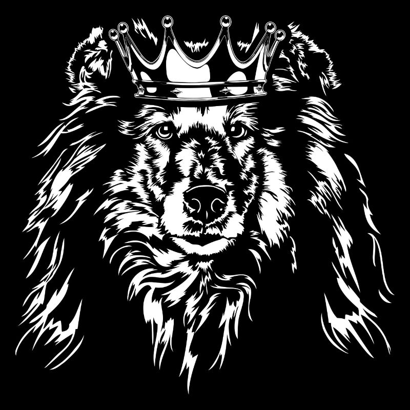 Langhaar COLLIE Krone Hund Hunde Wilsigns