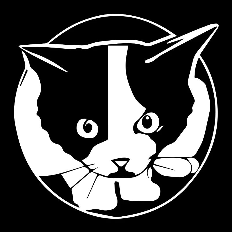 Schwarz-weiße Katze