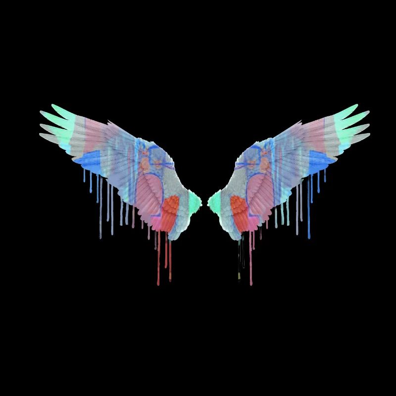 ailes d’ange, ailes, ailes d’ange, coloré, graffiti