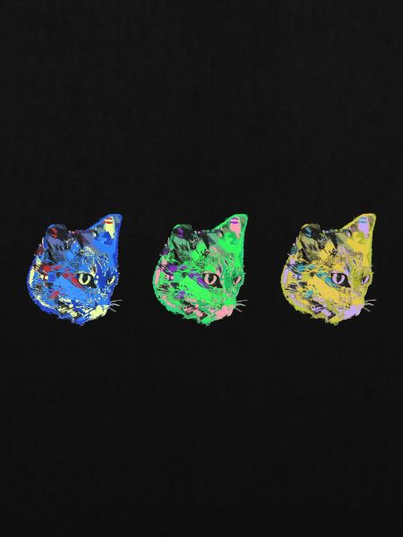 katze, blau ,malerei, ,kätzchen,warhol,pop-art