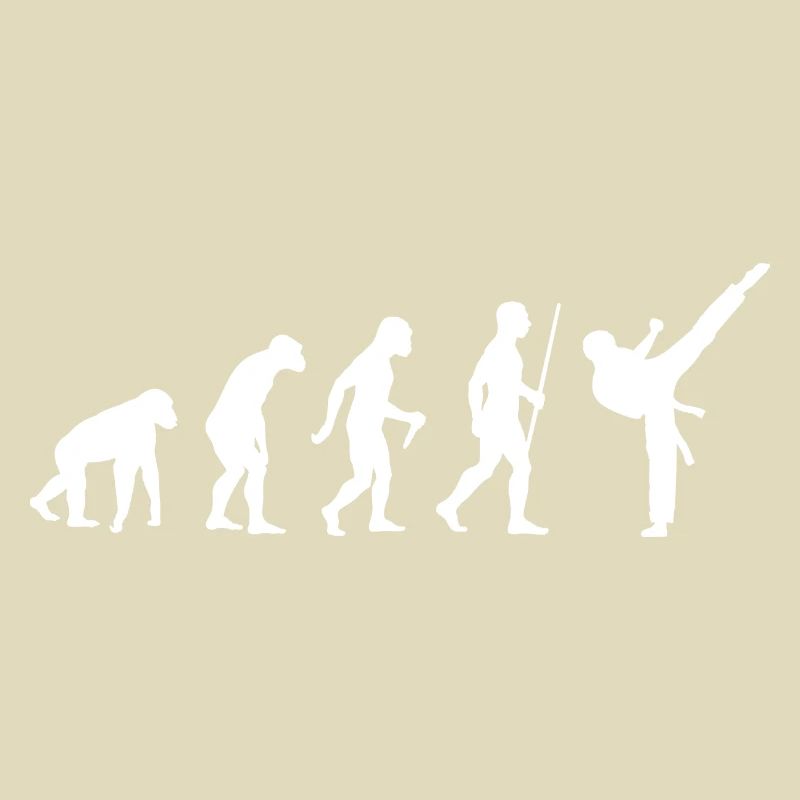 Martial Arts Karate Evolution Gift Idea 005-096