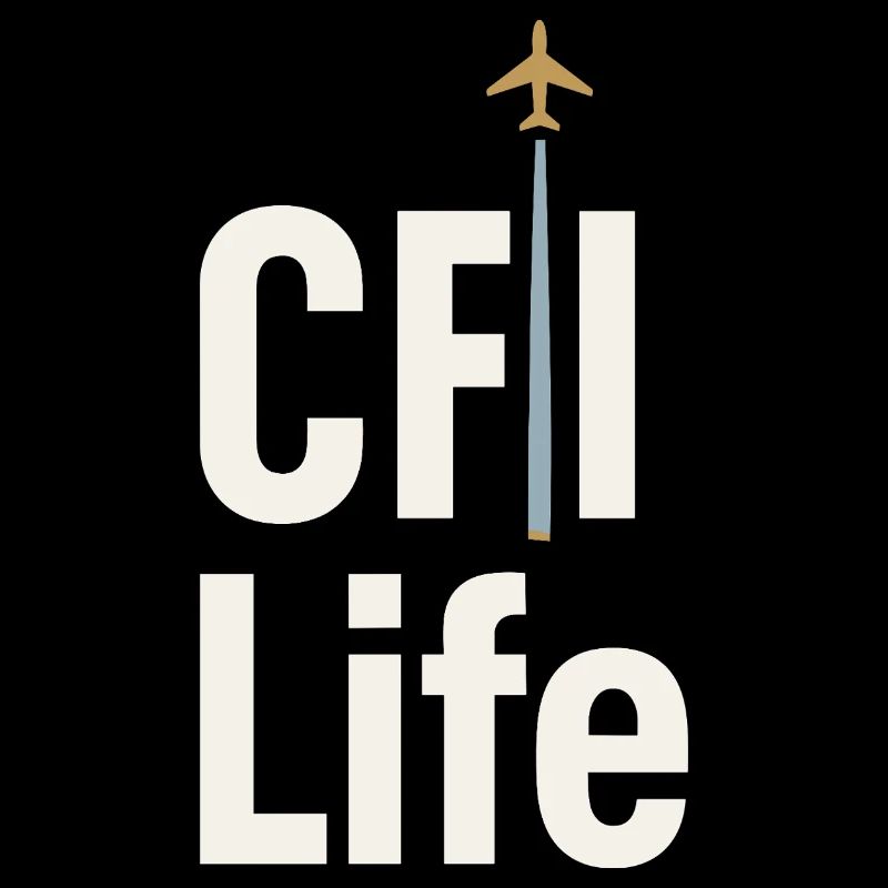 Instructeur de vol Cfi Pilote Instructeur d’aviation