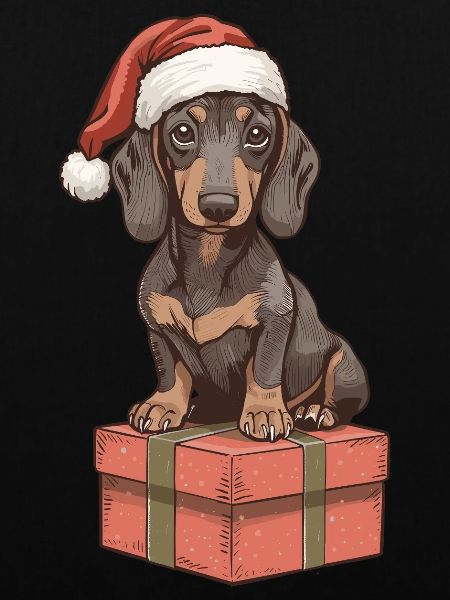 Christmas Dachshund Gift