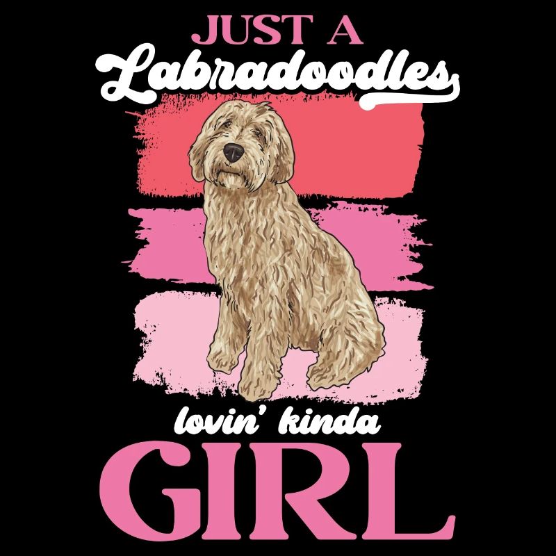 Labradoodle Hund