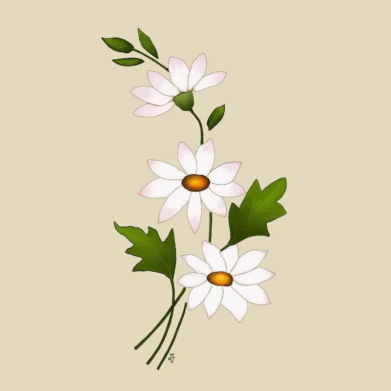Gänseblümchenblüten
