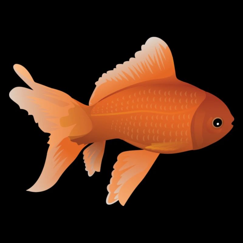 Poisson Rouge