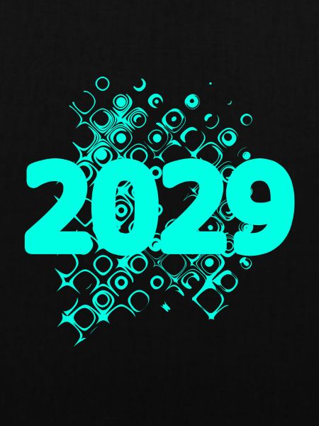 2029 2029