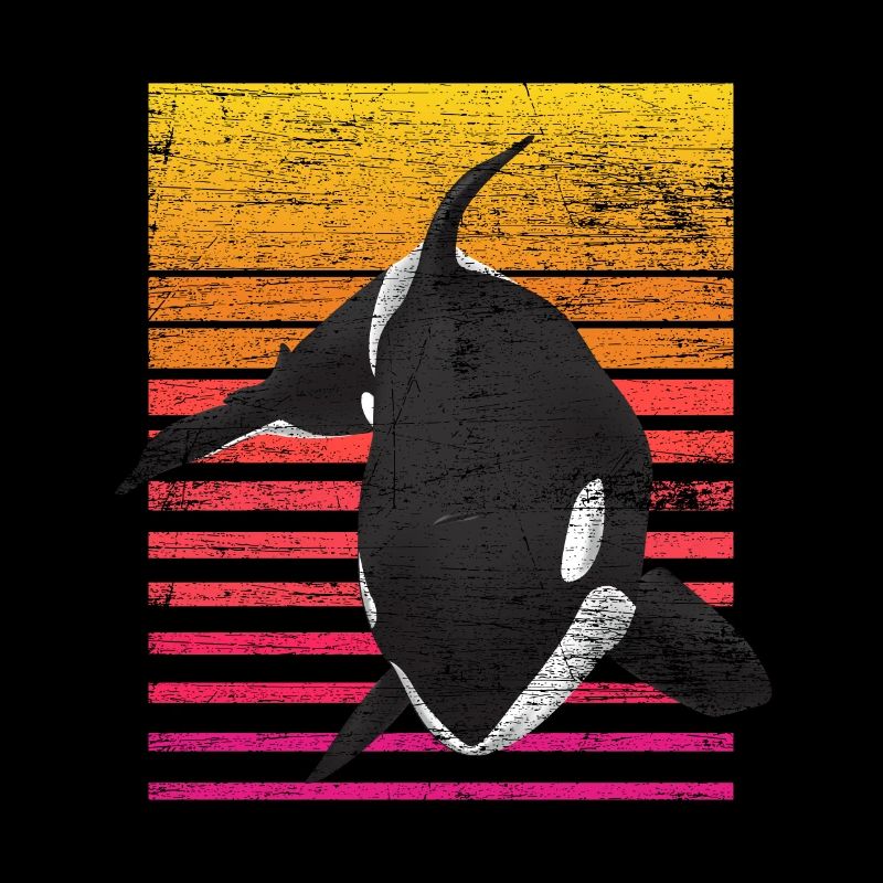 Orca whale