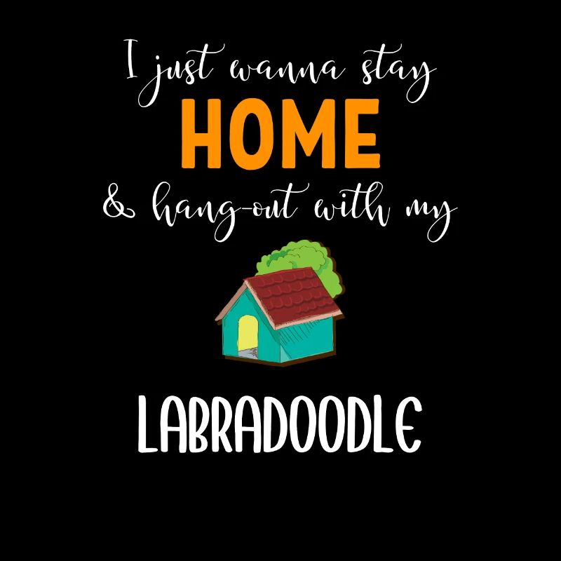 Labradoodle