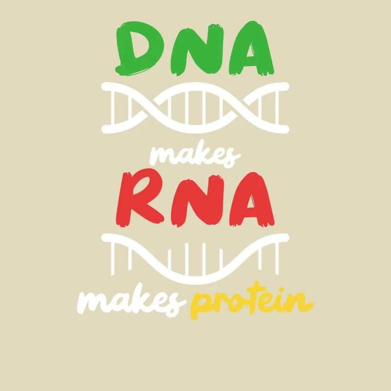 Aus DNA wird RNA wird Protein