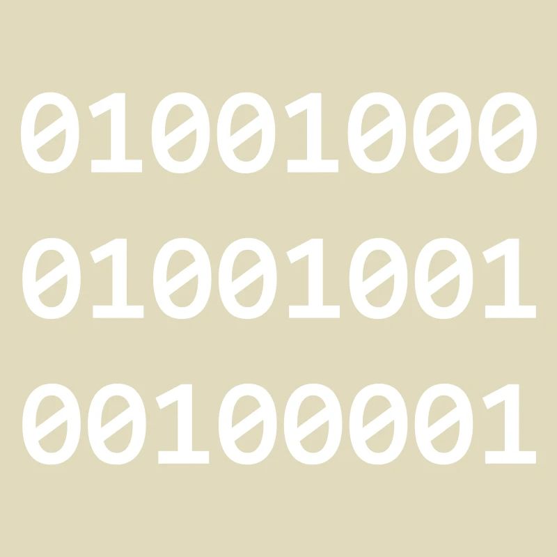 Hi Binary Programmierer grüßen sich so