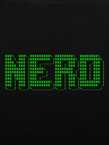 Nerd ASCII