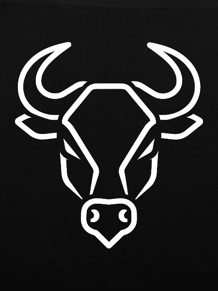 Stier