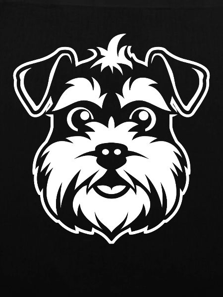 Schnauzer