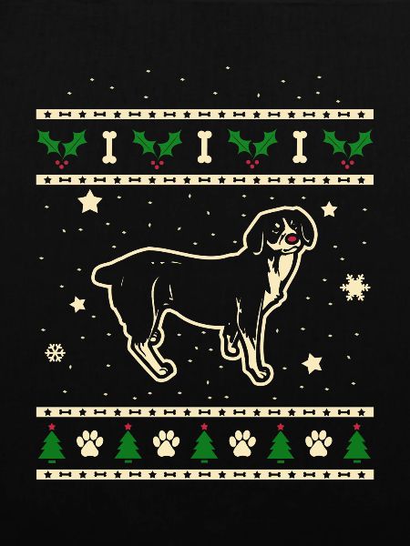 Entlebucher Weihnachtsgeschenk