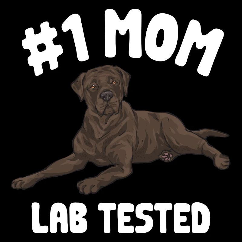Chien Labrador Retriever brun chocolat