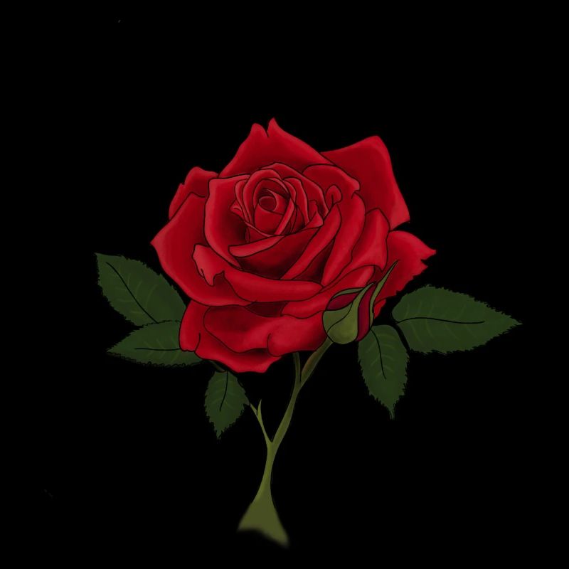Rose