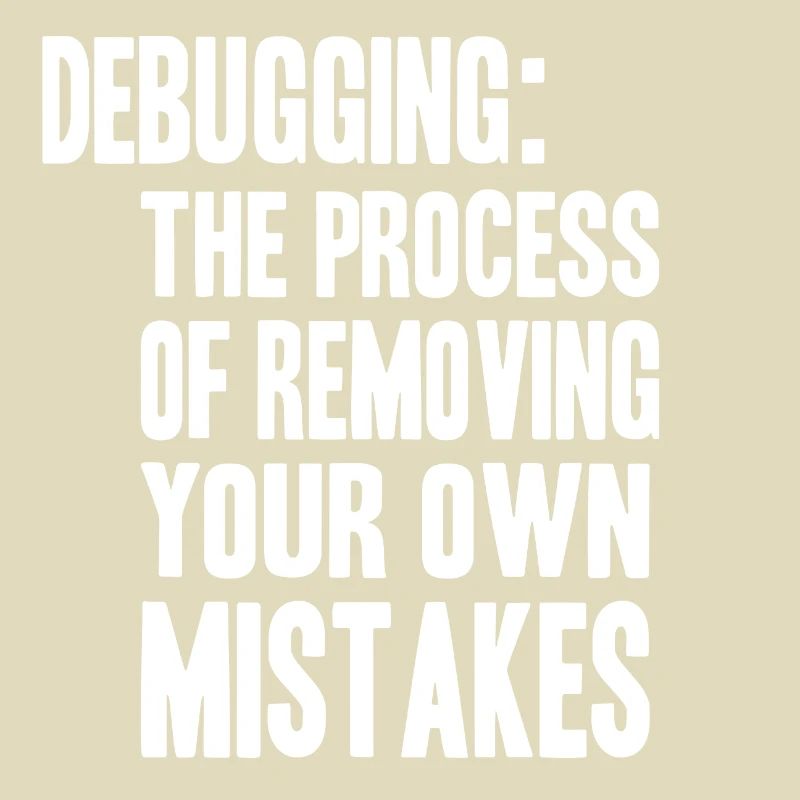debugging process
