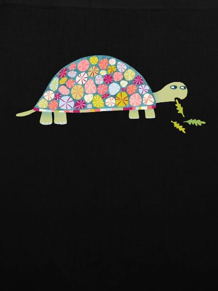 Tortoise