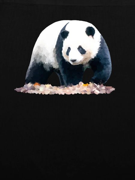 Panda Oil Drawing