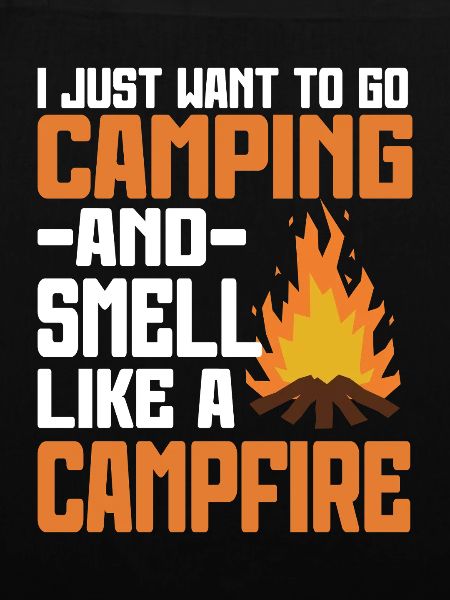 Camping Campfire Camper