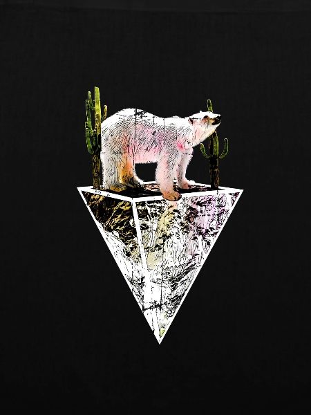 Climate change polar bear