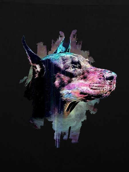 Dobermann