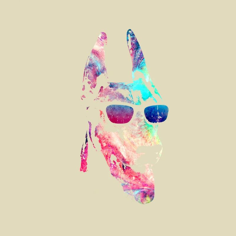 Dobermann