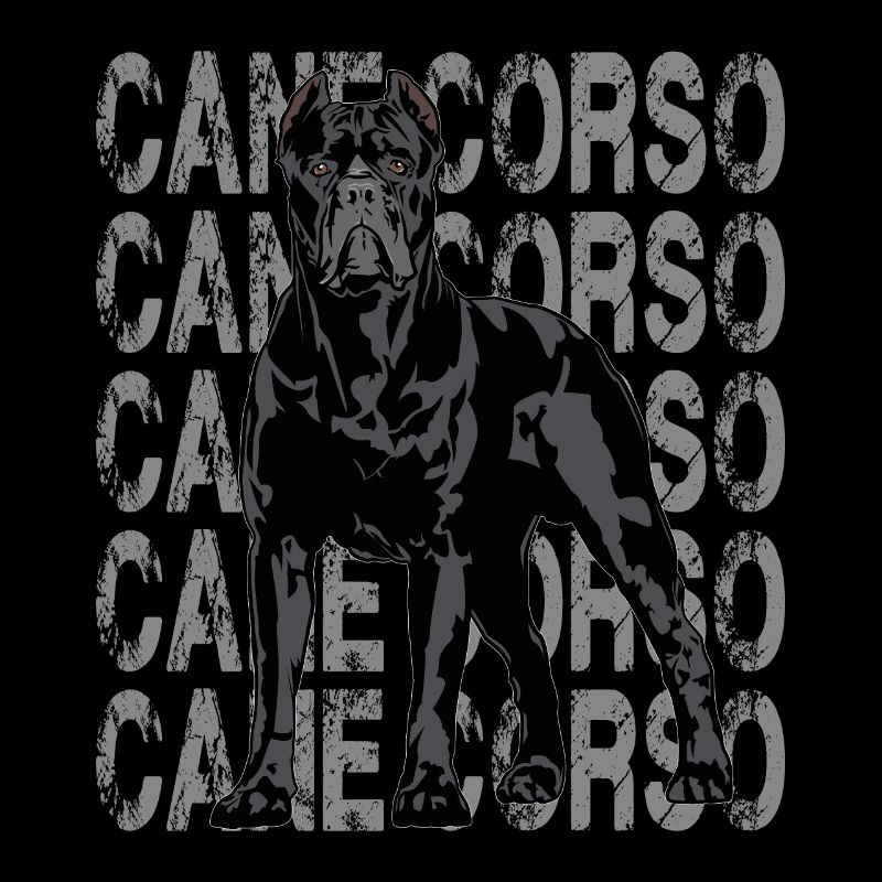 Cane Corso Molosser Mastiff Italian