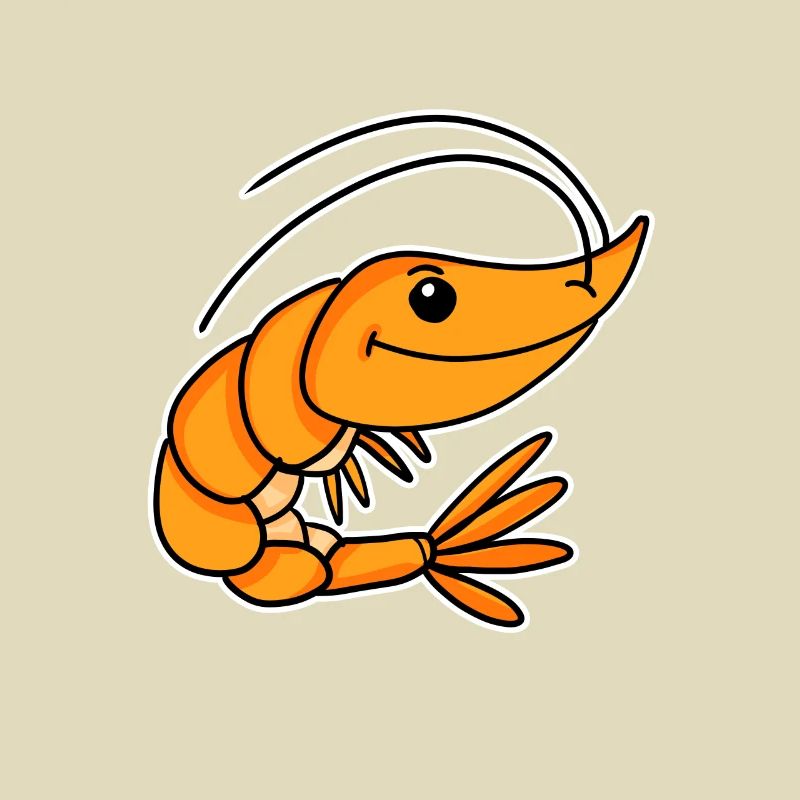 Shrimp