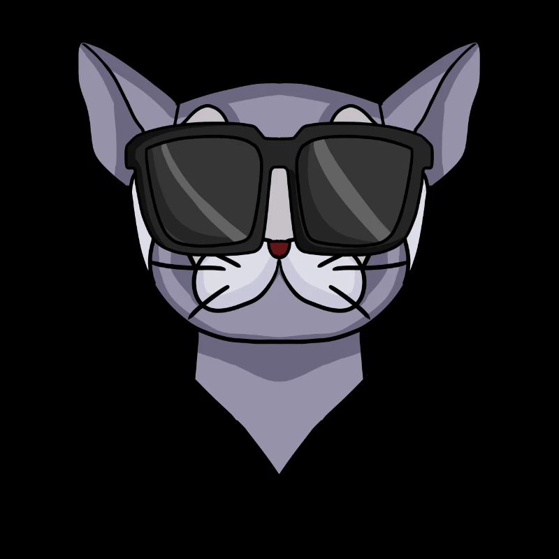 Britisch Kurzhaar Katze mit Sonnenbrille