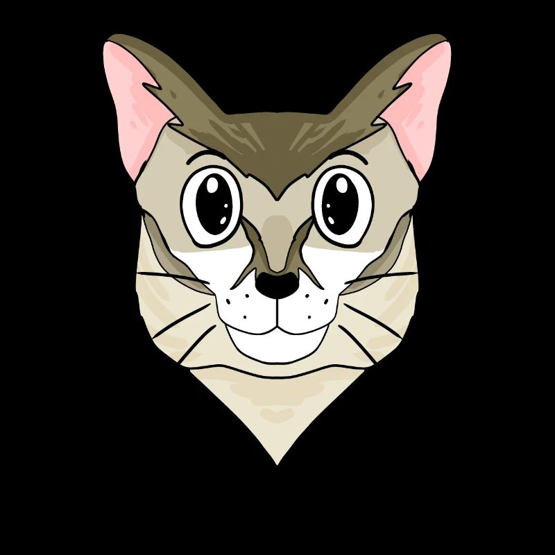 Chat Singapura