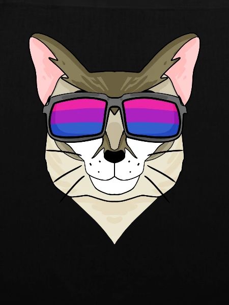 Bisexual Singapura Cat Gift