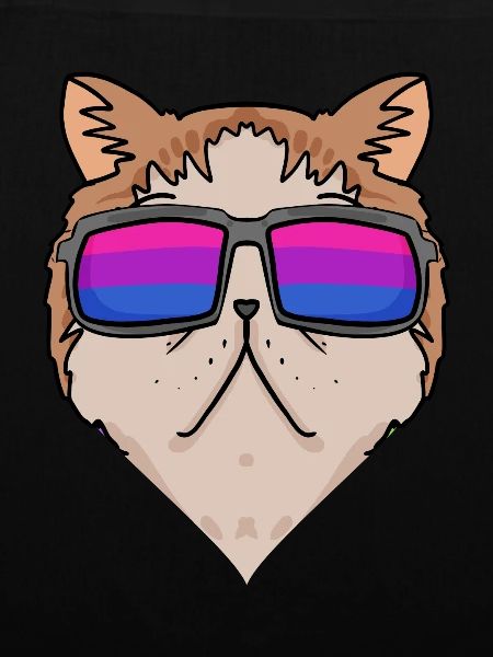 Bisexuell Exotische Kurzhaarkatze Katze Geschenk