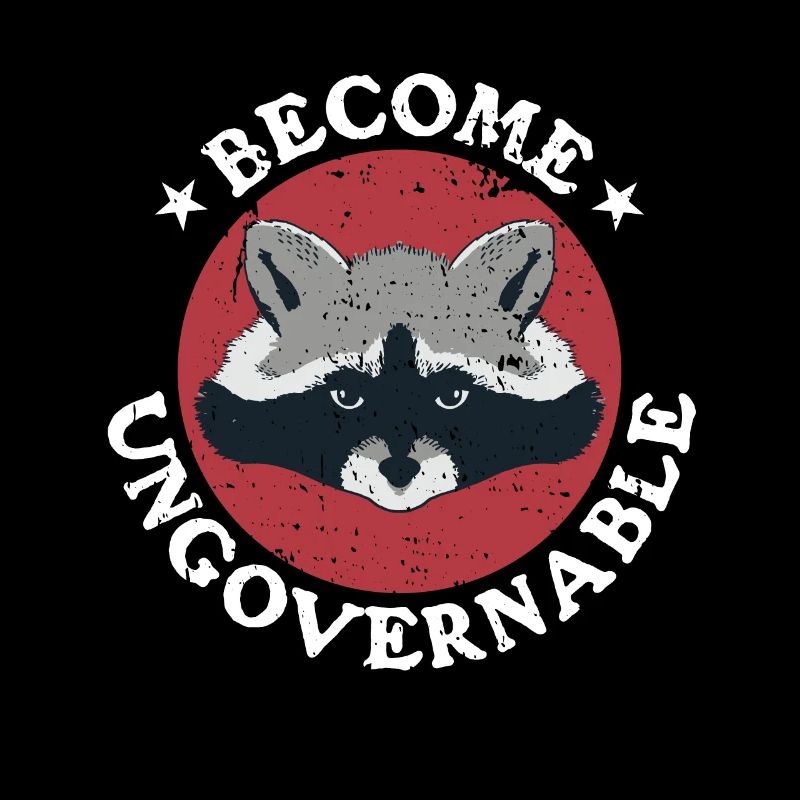 Raccoon Retro devient ingouvernable