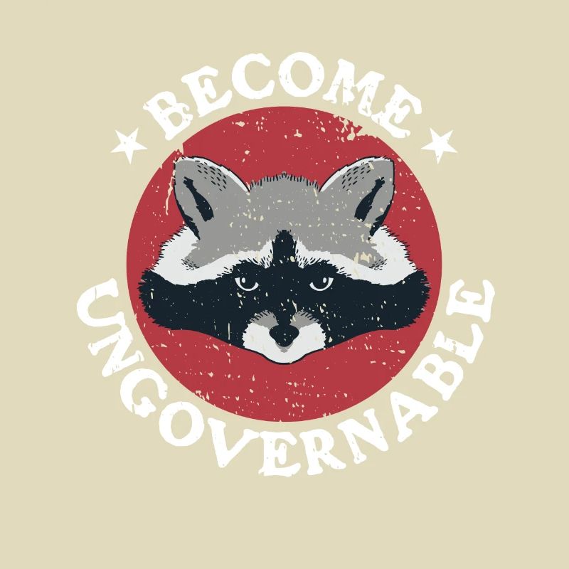 Raccoon Retro devient ingouvernable
