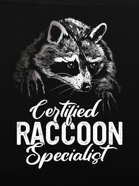Raccoon