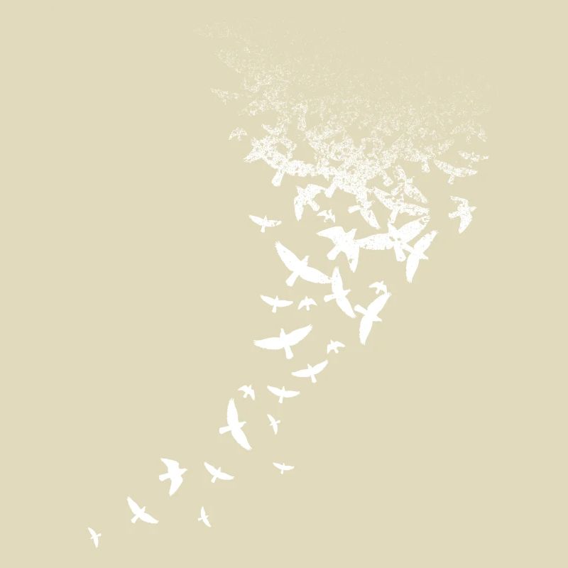 White birds